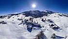 Alpenrose-Stump's Alpenrose — photo 1