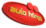 Auto Höngg Zürich — photo 1
