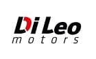 Di Leo Motors SA — photo 1