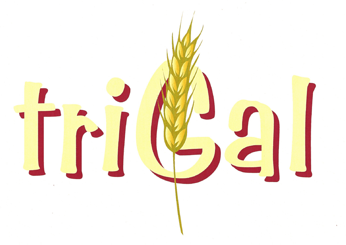 Trigal — photo 1