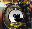 CHINCHILLA BAR — photo 1