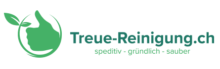 Treue Reinigung GmbH — photo 1