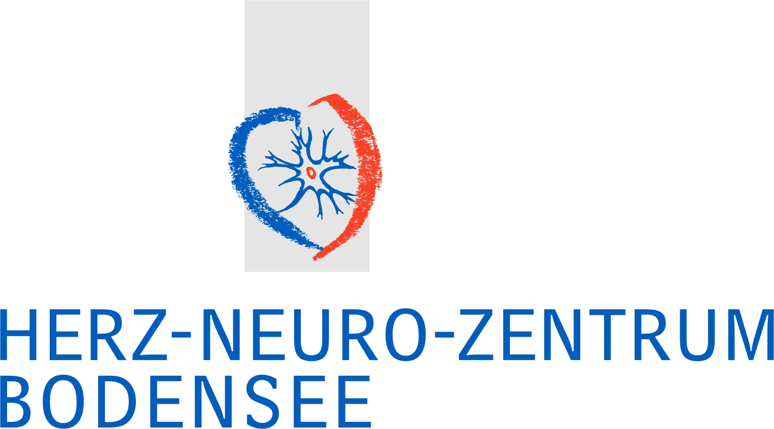 Herz-Neuro-Zentrum Bodensee AG — photo 1