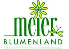 Blumenland Schweiz AG — photo 1