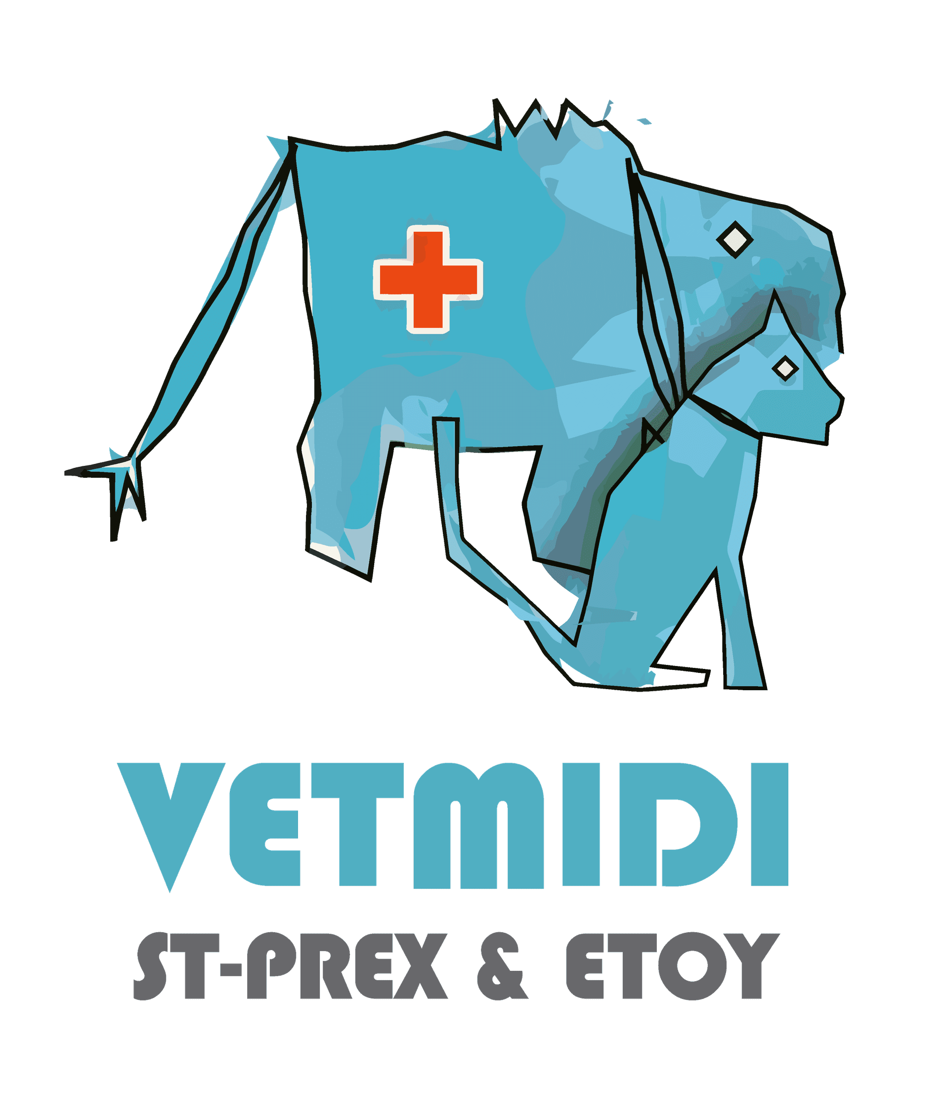 Vetmidi SA