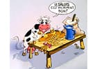 Au Pain Doré — photo 1