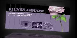 Blumen Ammann — photo 1