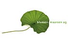 Blumen Maarsen AG — photo 1
