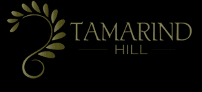 Tamarind hill Indian restaurant — photo 1