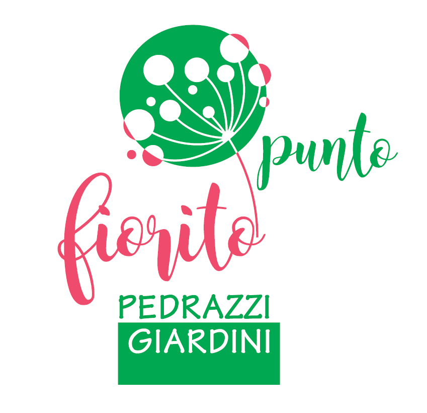 Punto Fiorito