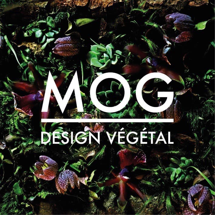 MOG Design Végétal Sàrl — photo 1