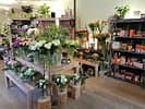 Barnabas Blumen & Wohnen — photo 1