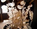Blumen Ranch — photo 1