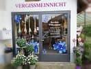 Blumen Vergissmeinnicht — photo 1