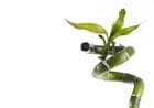 LE FLEURISTE.CH GmbH — photo 1
