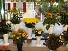 Le Potiron Fleuri — photo 1