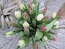 Aareblumen AG — photo 1