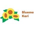 Blueme Kari AG — photo 1