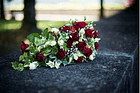 BluemeEgge — photo 1