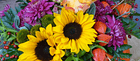 Blumen Rusterholz — photo 1