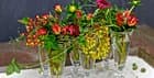 Blumen Umiker — photo 1