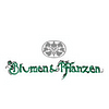 Blumen und Pflanzen — photo 1