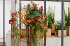 Blumenatelier Hombrechtikon GmbH — photo 1
