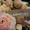 Grandiflora — photo 1