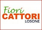 Fiori Cattori c/o Mercato Cattori — photo 1