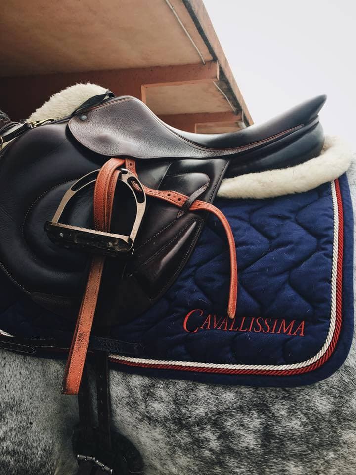 Cavalissima