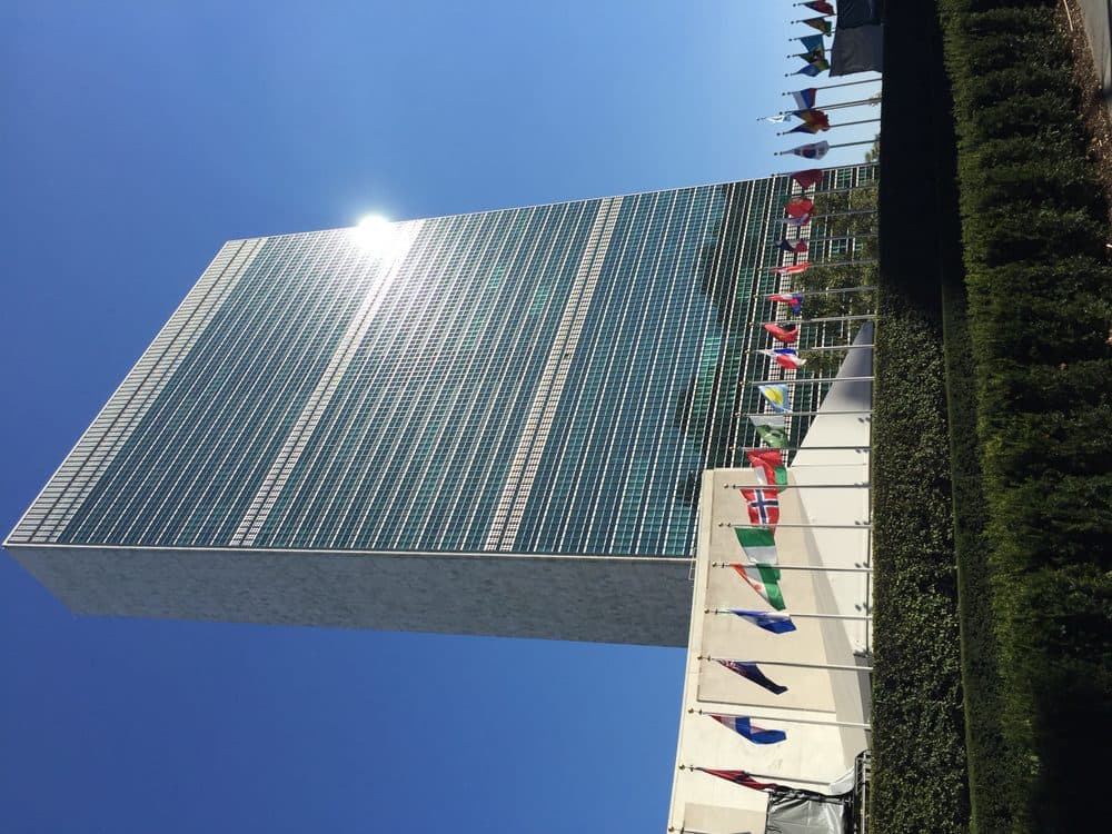 Visite du Palais des Nations (ONU) — photo 1